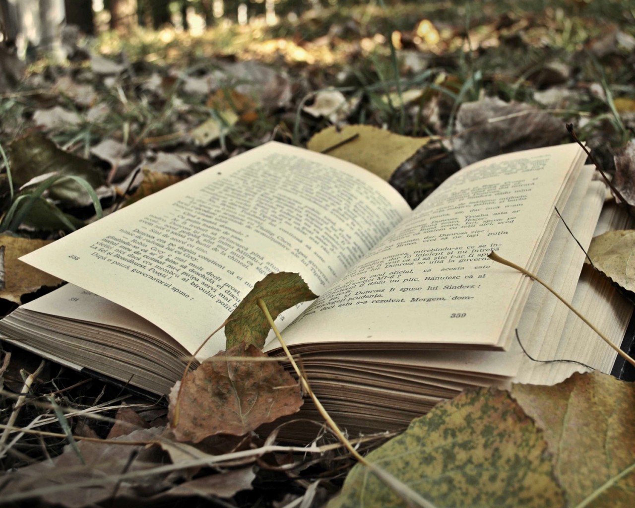 2018年福建成考要如何進行報名?