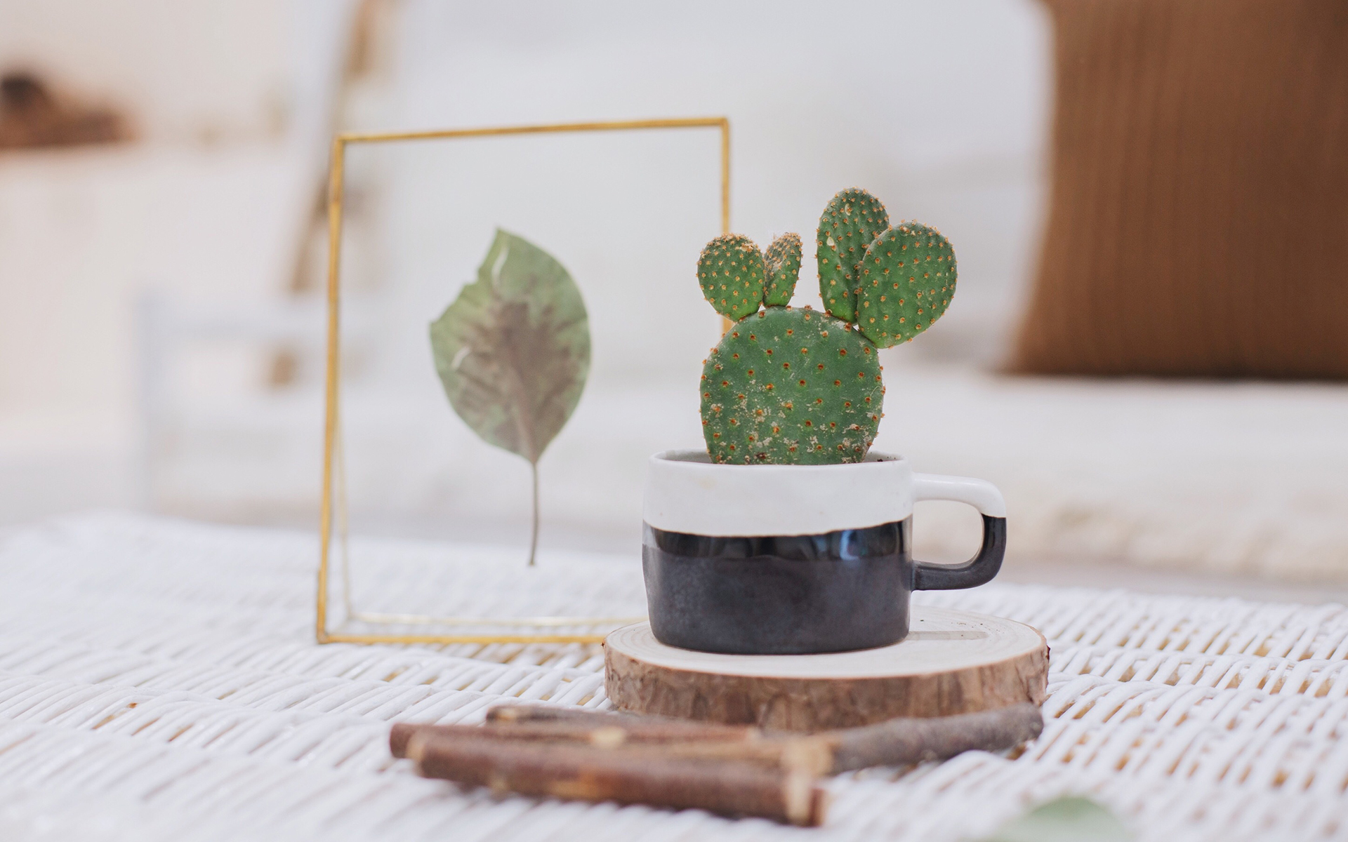 成考缺考怎么辦,還能被錄取嗎?