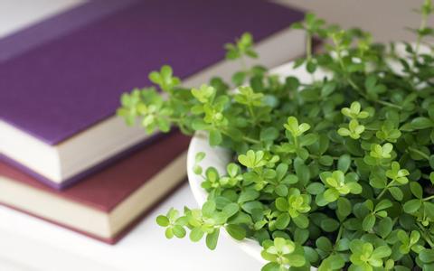 福建成考 錄取 新生