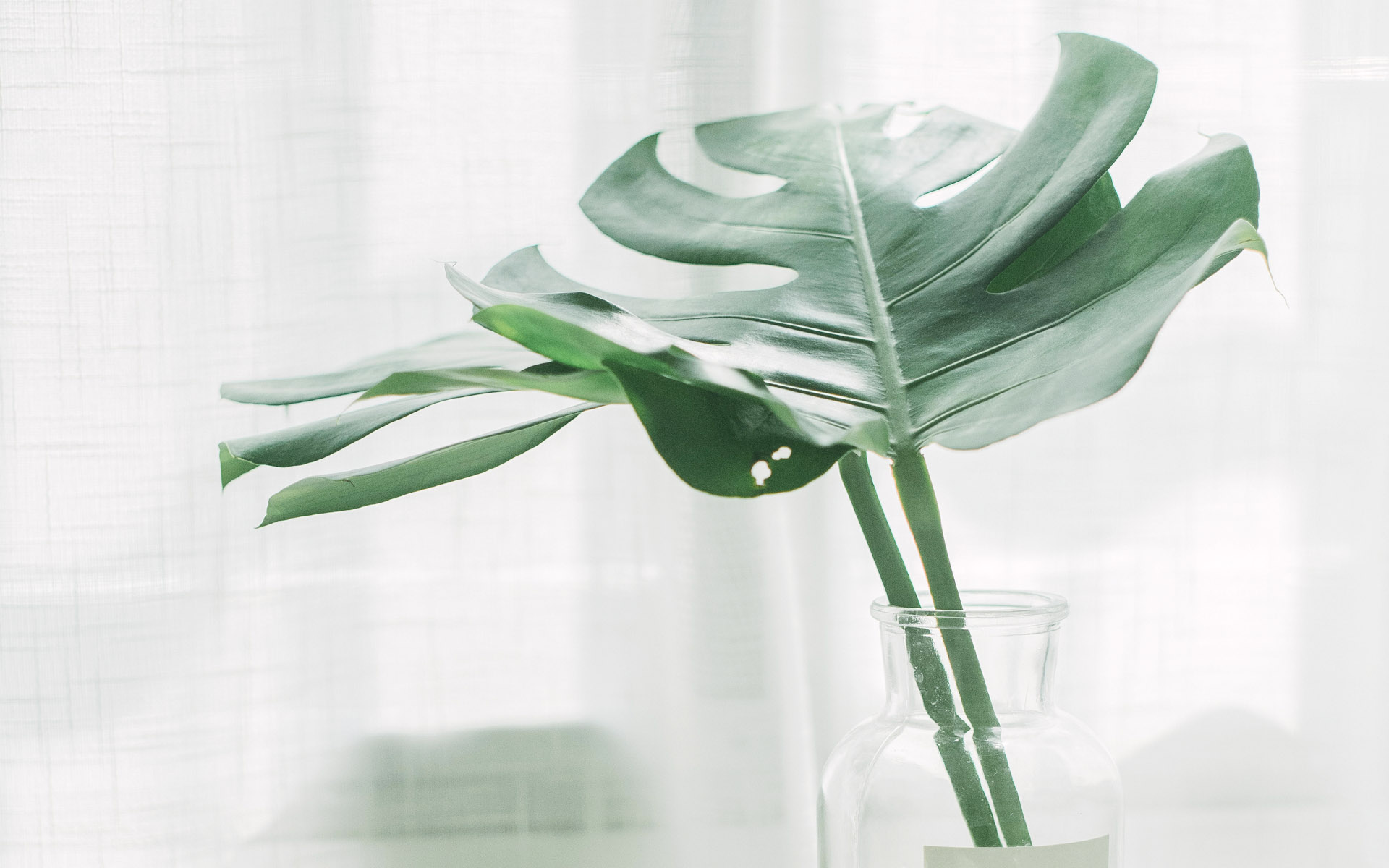 成人高考 沒(méi)有被錄取