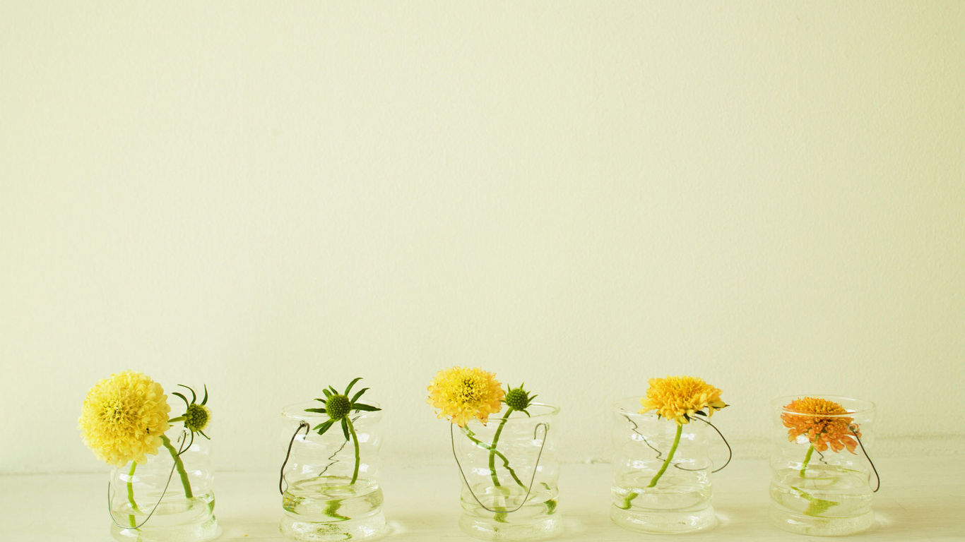 福建成人高考 分數線沒過