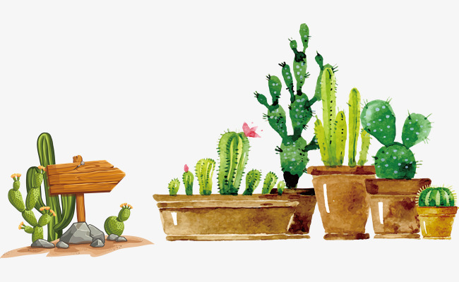 外省 福建省成人高考