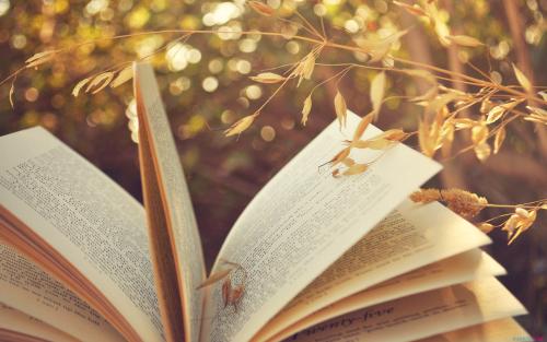 福建成人高考難嗎 輔導班