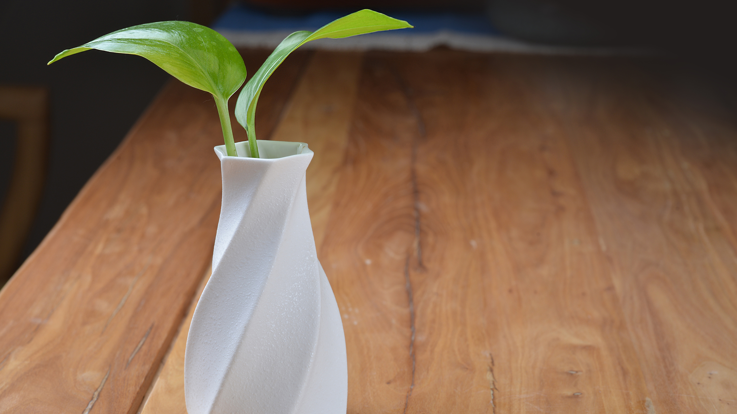 福建成考帶手機