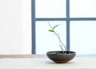 福建專升本:2020年泉州師范學院成人高考