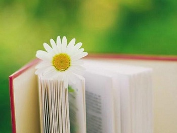 干貨：成人高考報考的一些常見問題及解答