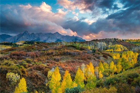 福建成人高考指南:關(guān)于考場上你必須要知道的事